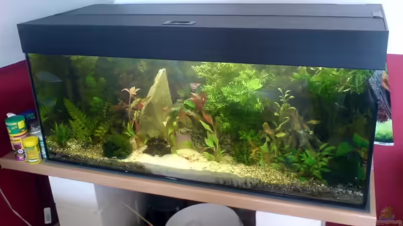 Im Hellen. Habe leider noch keine idee für die Verkleidung von Achim Dengler (8)