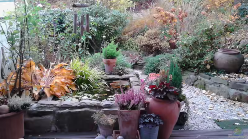 im Herbst 2015 von Grünhexe (18)