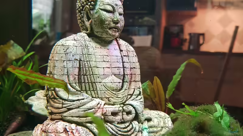 Im hier und Jetzt von Manuela&Mike (10)