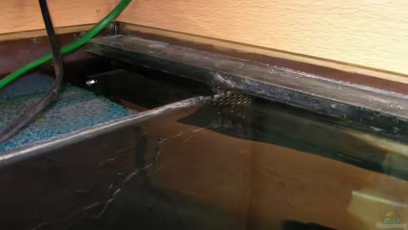 Im Hintergrund ist das Lochblech zu sehen von Oliver Schulte (13)