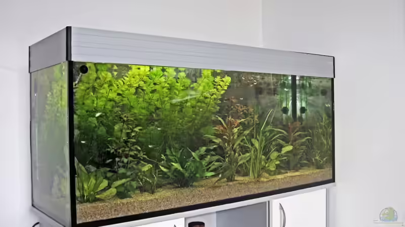 im Juli 2010 von Sebastian Philipp (4)