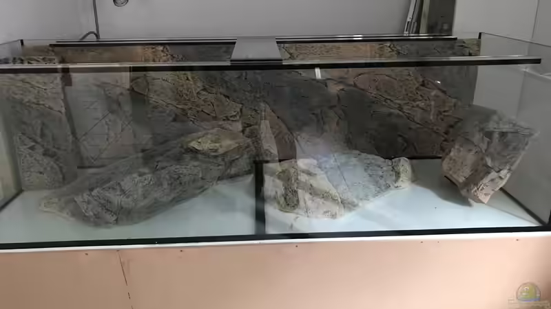 Im Keller angekommen von Manni (7)