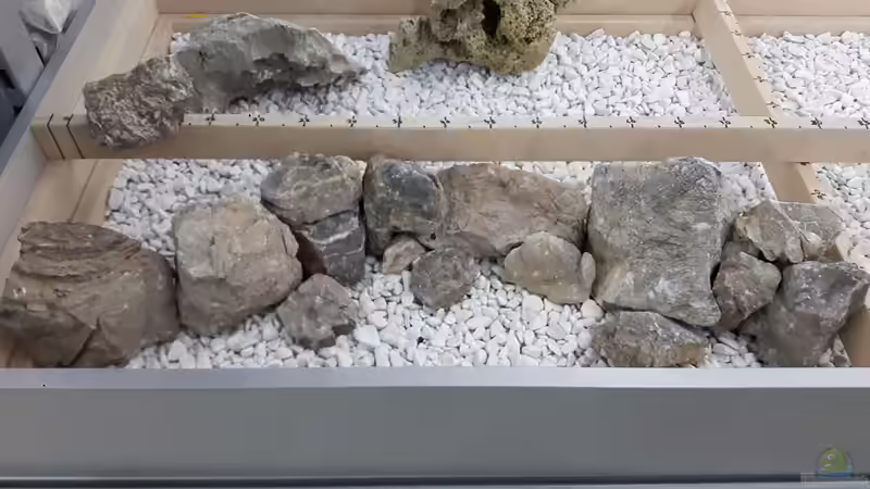 Im Laden die Steine ausprobiert von Der Nicky (41)