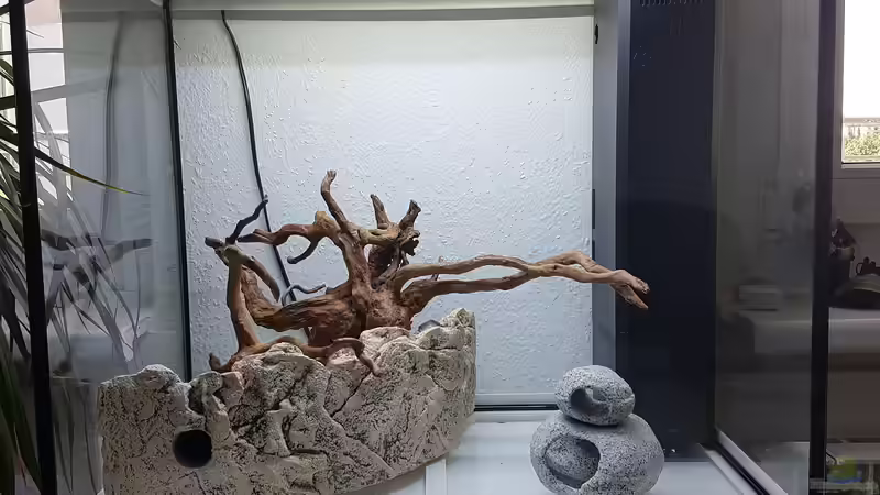 Im Leerzustand von Neon (2)