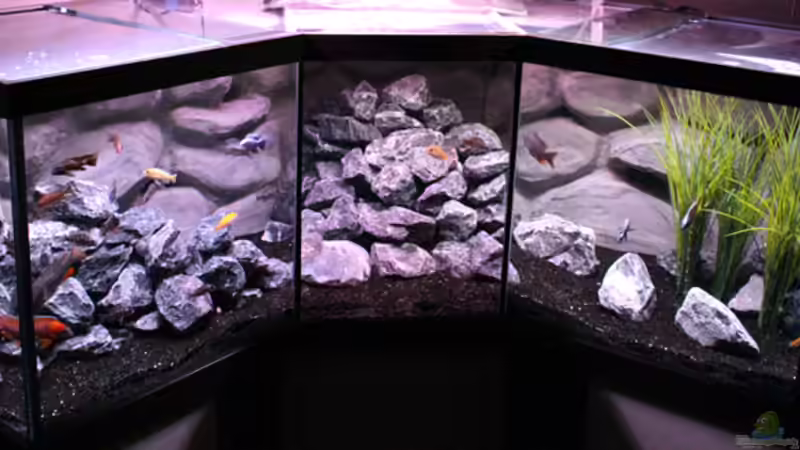 im Mai 2013 ist das Lochgestein endlich rausgeflogen... dafür  Gabionensteine ´Alpensteine´ von AjakAndi (11)