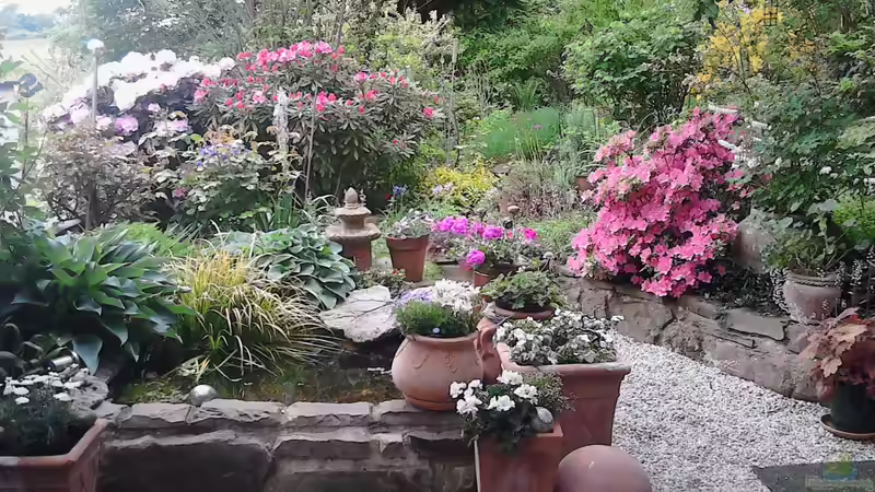 im Mai 2016 von Grünhexe (3)