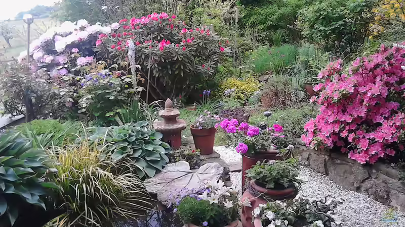 im Mai 2016 von Grünhexe (4)