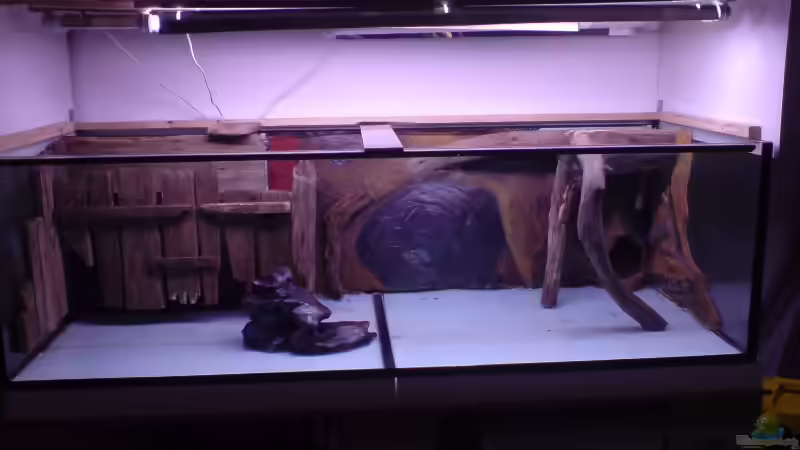 Im Mittelpunkt ein künstlich gefertigter Stein aus Styropor und Mörtel, der schließlich von Friedrich Tietze (15)