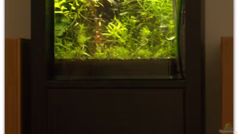 im neuen, kindersicheren Schrank von hotwheelz (10)