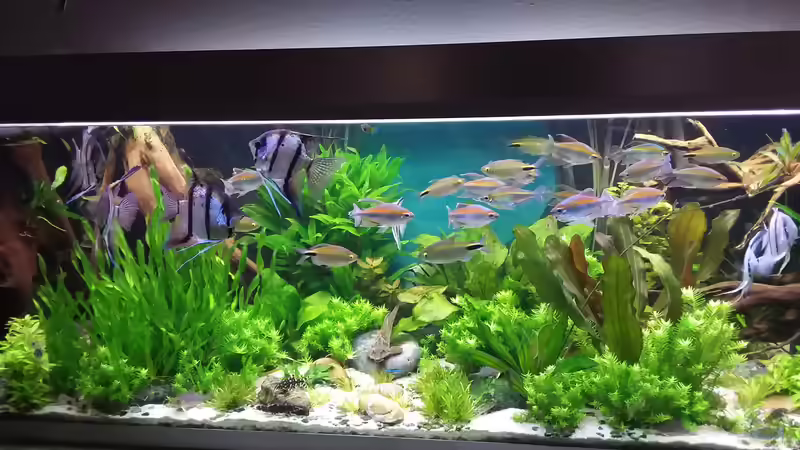 im Nov. 2019 von Grünhexe (189)