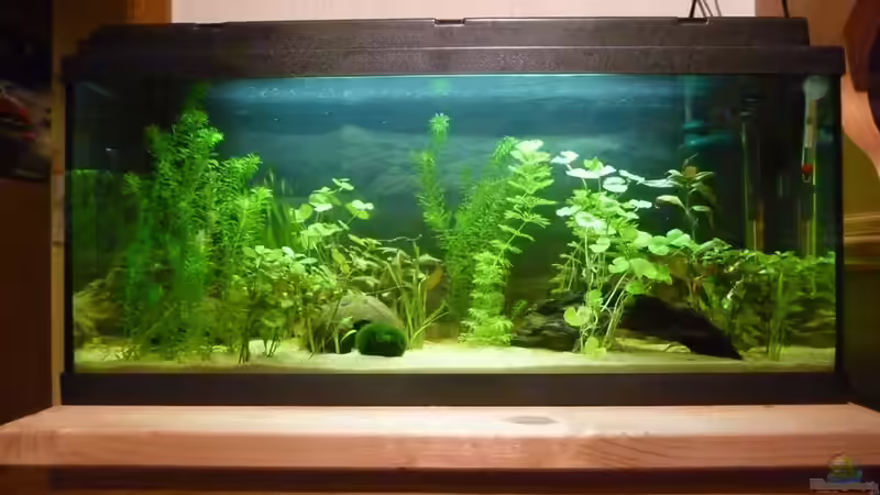 Im November  von Manuel Betz (3)