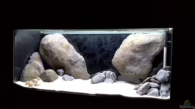 Im Rohbau von Chris_R. (3)