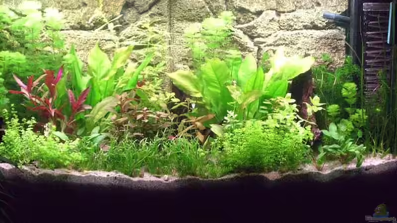 Im September 2007 nach der Einrichtung von Markus K. (4)