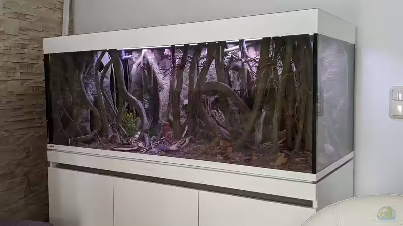 Im Trockenbau von Hedylein (2)