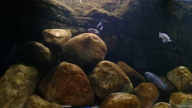 im Westen vom Malawisee :) von Robert Verhülsdonk (4)