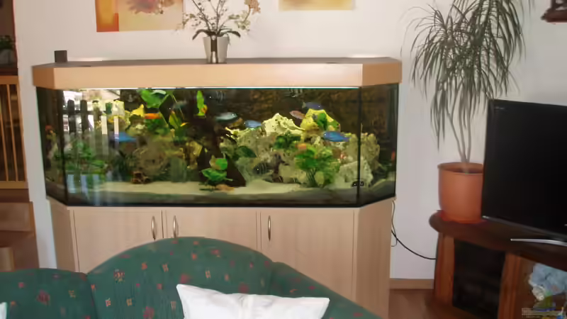 Im Wohnzimmer neben dem Fernseher von PRHilden (1)