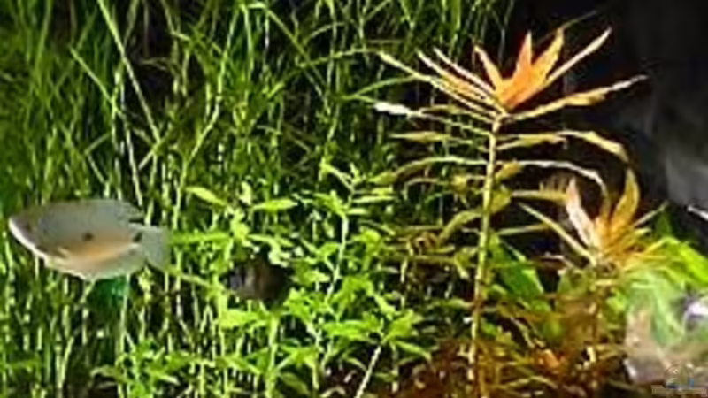 Impression 1 von Bruno Berchtold (16)