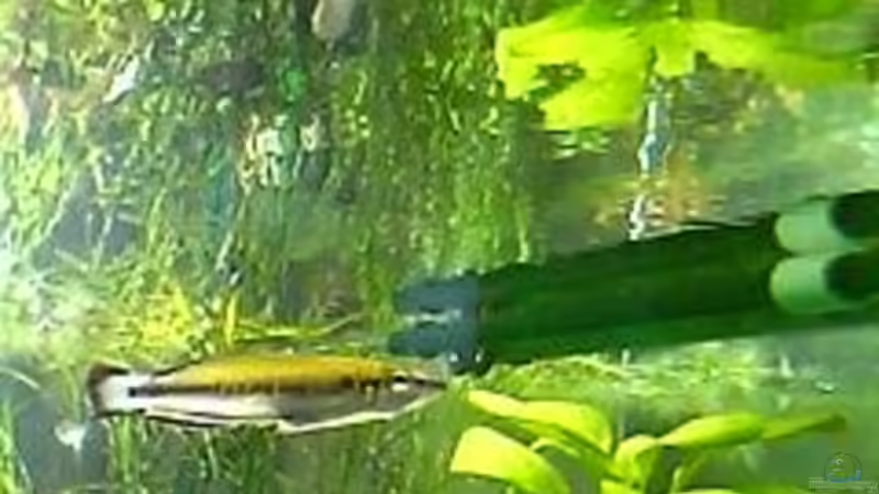 Impression 2 von Bruno Berchtold (17)