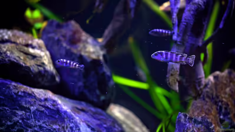 Impressionen  von Erik H. (16)