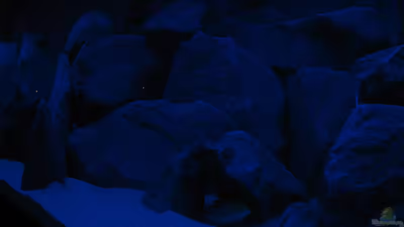 Impressionen bei Nacht von Oliver H. (25)