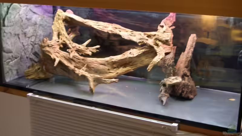 Impressionen eines ungeduldigen Menschen  von Knorpelfisch (18)