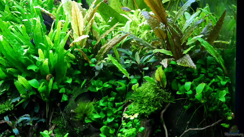 Impressionen Mai 2015 von Micha... (32)