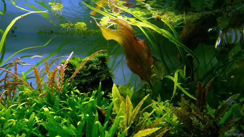 Impressionen Mai 2015 von Micha... (34)