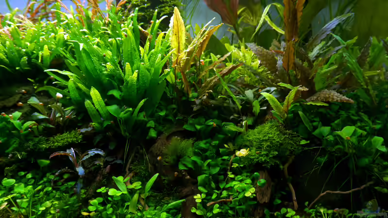 Impressionen Mai 2015 von Micha... (35)