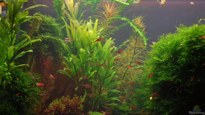 Impressionen von Chili (9)