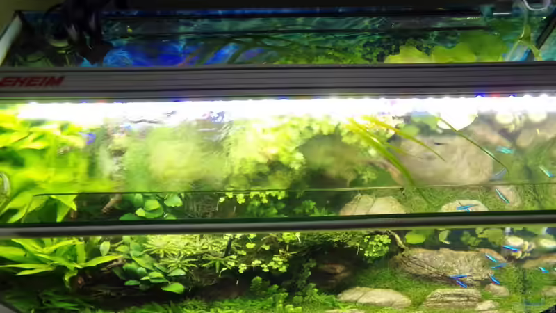 Impressionen von Der Nicky (31)