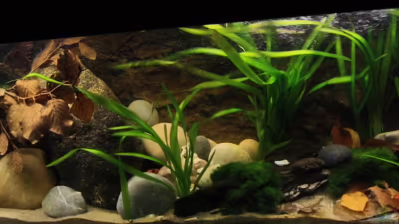 Impressionen von Florian Bandhauer (9)