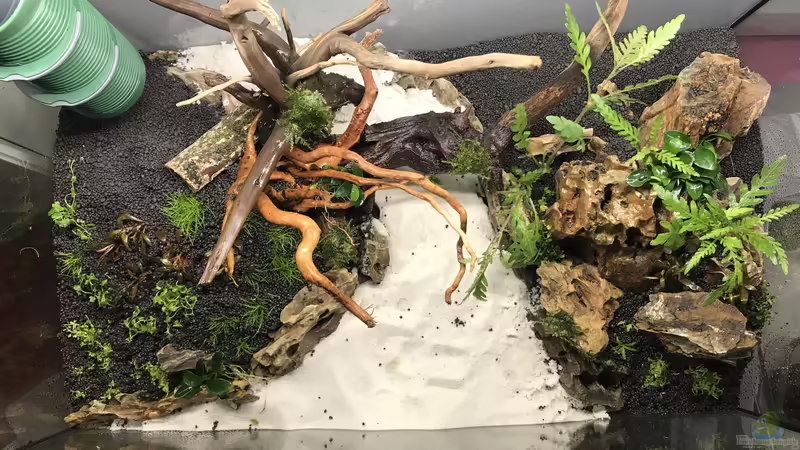 Impressionen von Maguma (11)