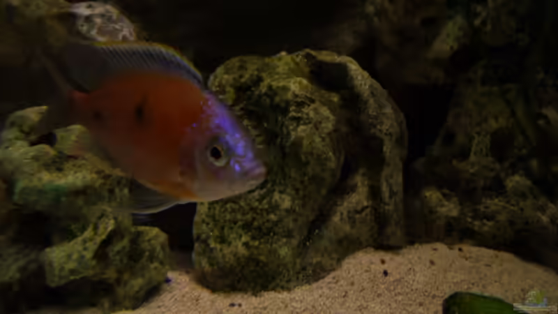 Impressionen von Volker Alms (23)