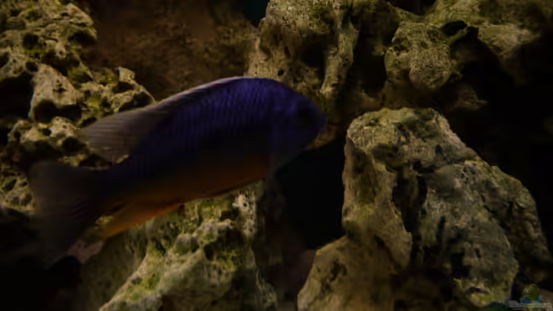 Impressionen von Volker Alms (25)