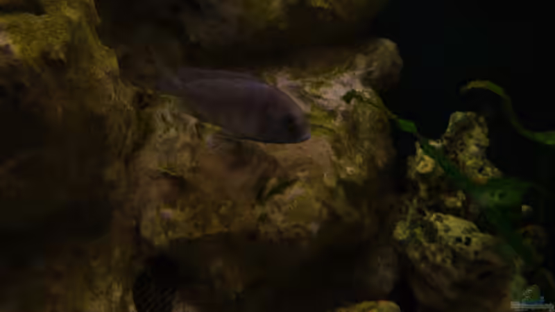 Impressionen von Volker Alms (26)