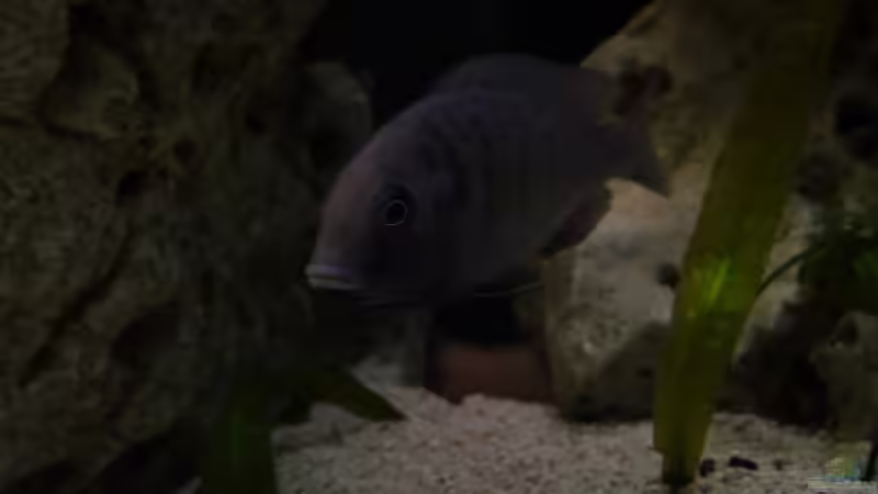 Impressionen von Volker Alms (28)