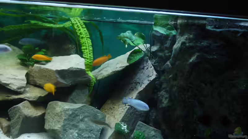 Impressionen von Volker Alms (5)