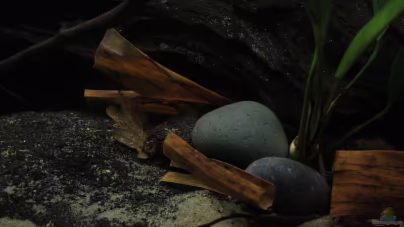 Impressionen Westafrika von Florian Bandhauer (49)