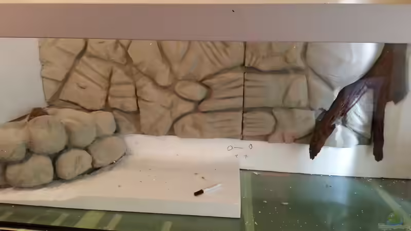 in Bearbeitung von Sascha Frankfurt (12)