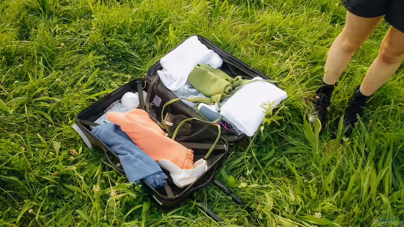 In den Urlaub fahren: Den Gartenteich auf die Abwesenheit richtig vorbereiten