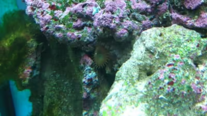 In der Einfahrphase [ Januar ] von Christian Schneider (4)