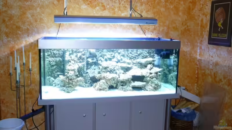 In der Einfahrphase von Christian Stauder (2)