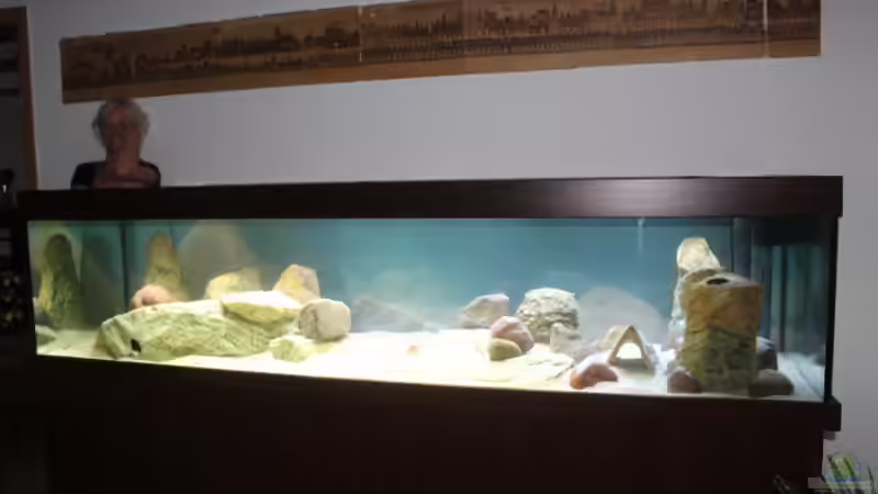 In der Einlaufphase von Erik S. (9)