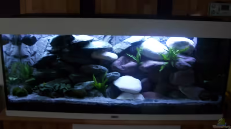 In der Einlaufphase von Malawi-Anfänger (1)