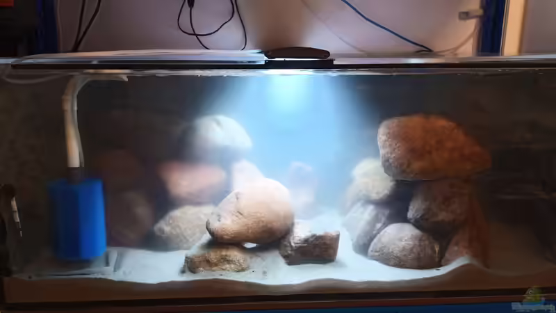 In der Einrichtungsphase, Nebel des Grauens von MbunaTowers (2)