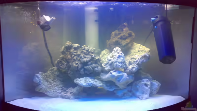 in der ersten Woche von Marcel Fischer (5)