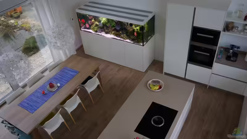 In der Küche. Vogelperspektive. von Alexander Bienefeld (5)