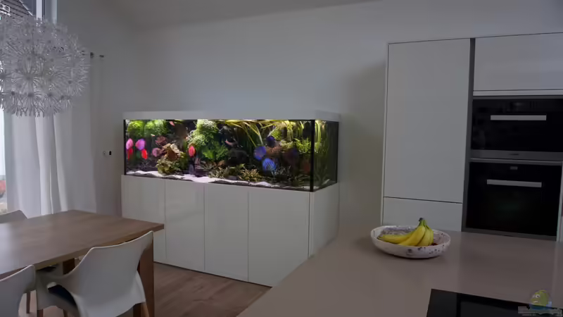 In der Küche. von Alexander Bienefeld (2)