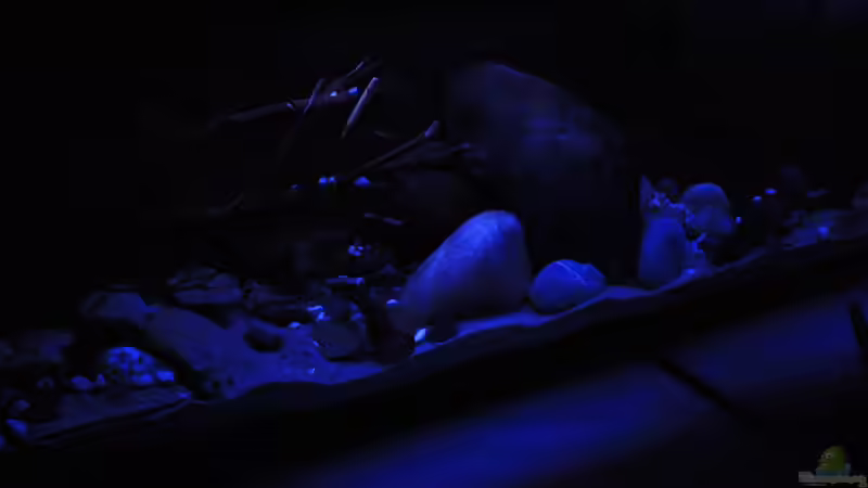 In der Nacht ..... von Florian Bandhauer (16)