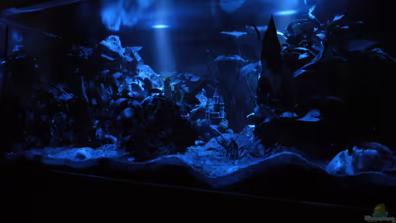 In der Nacht von Gerhard Schrenk (5)